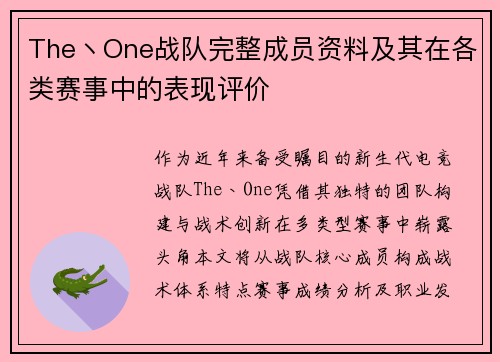 The丶One战队完整成员资料及其在各类赛事中的表现评价